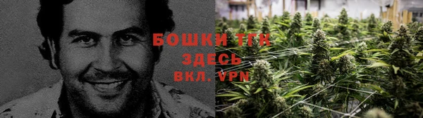 крисы Богородицк