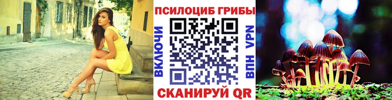 Псилоцибиновые грибы мицелий  как найти закладки  Кинешма 